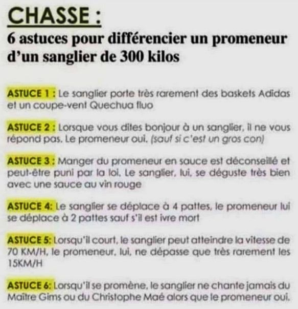 chasse.jpg